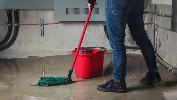 Best Water damage contractors near me  in Herald, CA