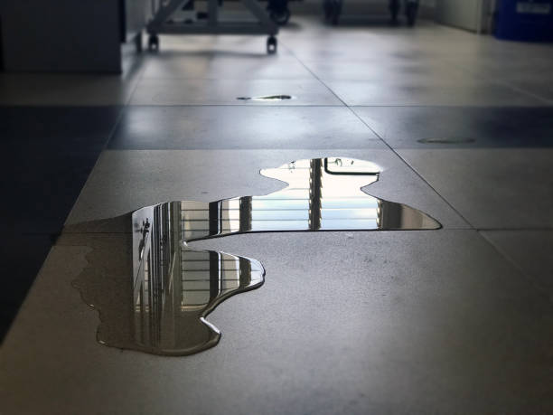 Best Professional water damage repair  in Herald, CA