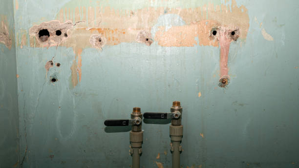 Best Water damage cleanup near me  in Herald, CA