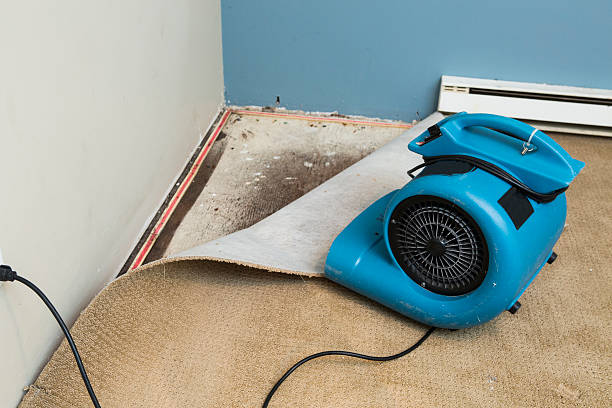 Best Carpet water damage restoration  in Herald, CA